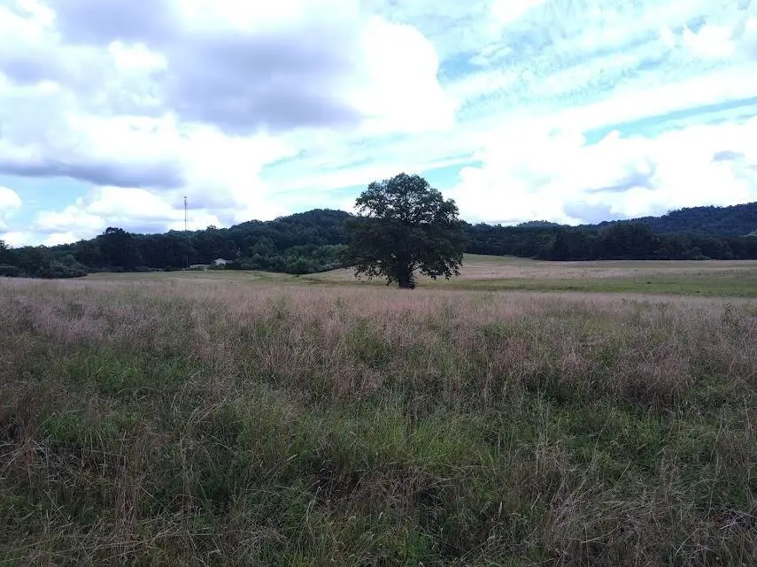 460 Skaggs Road, Morehead, KY 40351 - #2