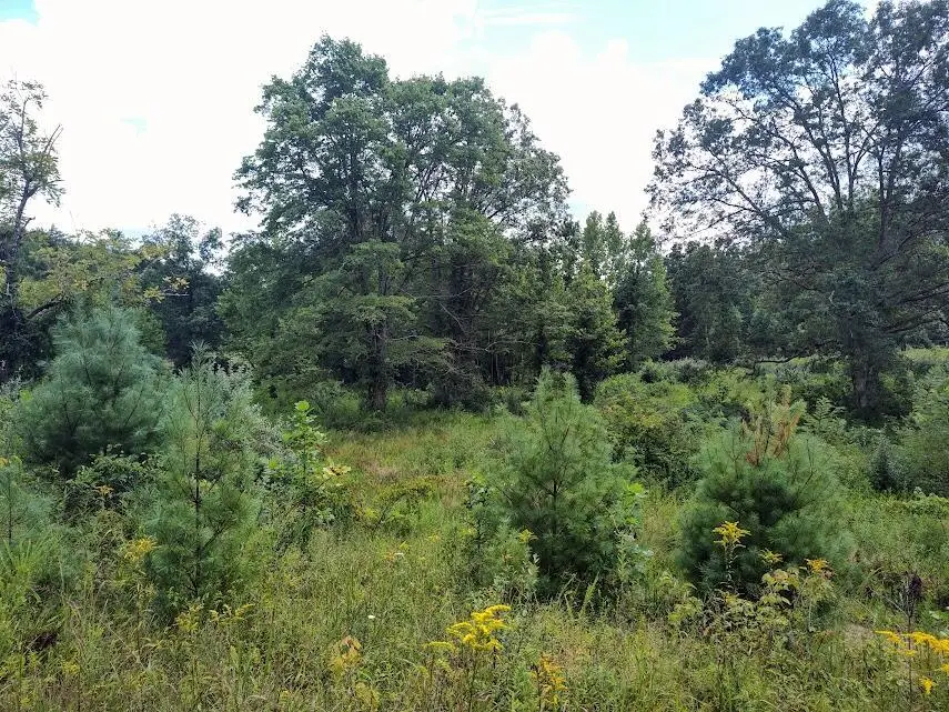 1150 Logan Hollow Road, Morehead, KY 40351 - #3