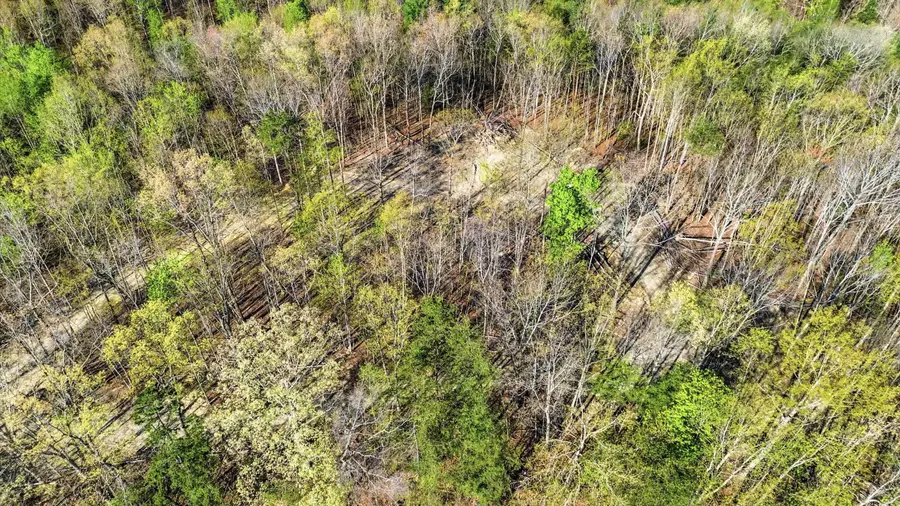 56 H King Road, Strunk, KY 42649 - #3