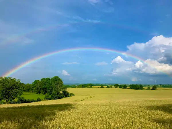 1330 Curry Pike, Harrodsburg, KY 40330