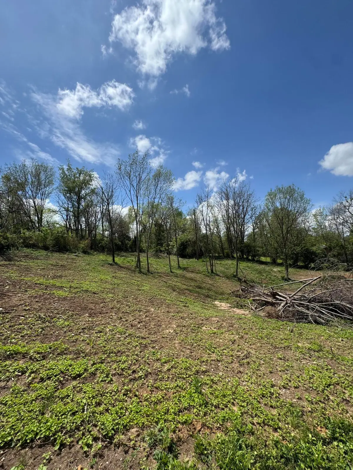 Lot - East Drive, Danville, KY 40422 - #1