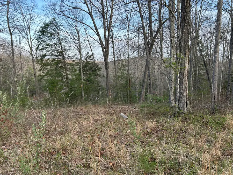 0000 State Highway 674, Monticello, KY 42633 - #2