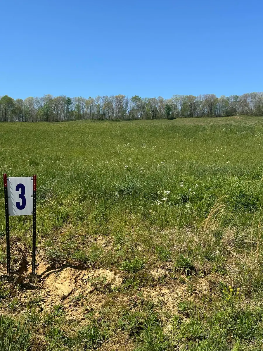 19 Coon Trail #Tract 3, East Bernstadt, KY 40729 - #2