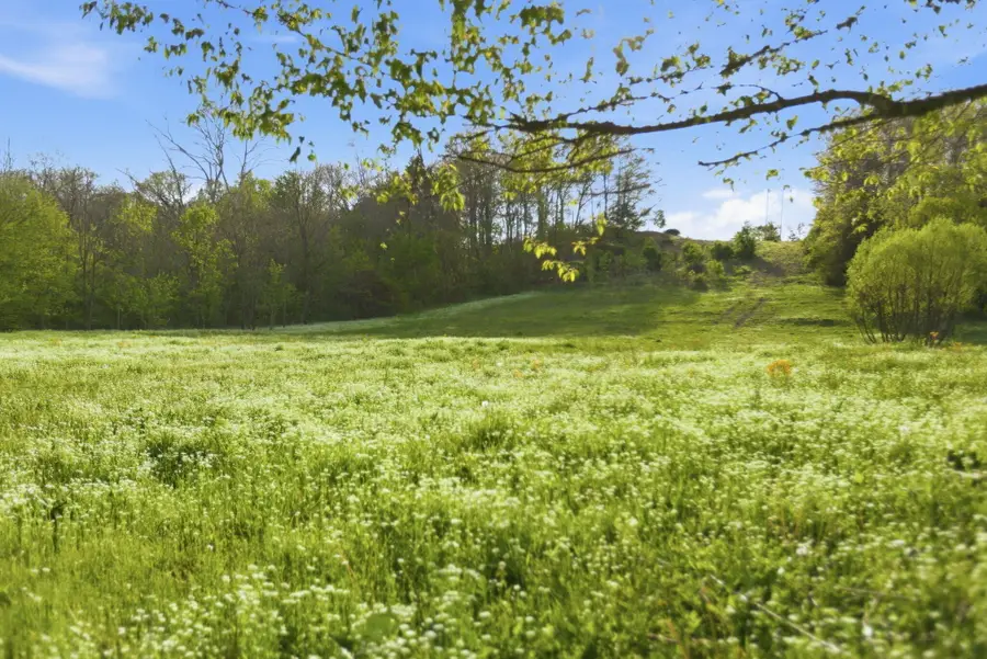 8586 Stulltown Road, Owingsville, KY 40360 - #3