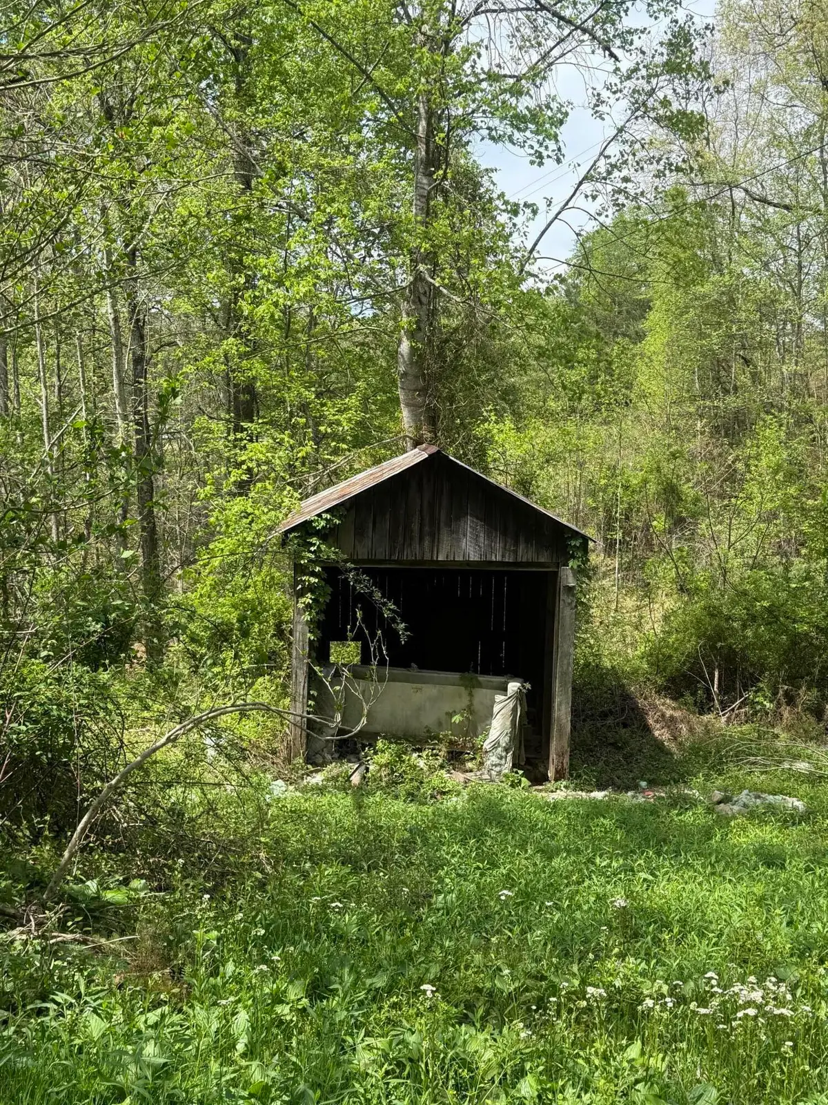 1325 State Hwy 1036, Campton, KY 41301 - #1