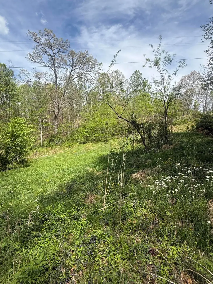 1325 State Hwy 1036, Campton, KY 41301 - #2