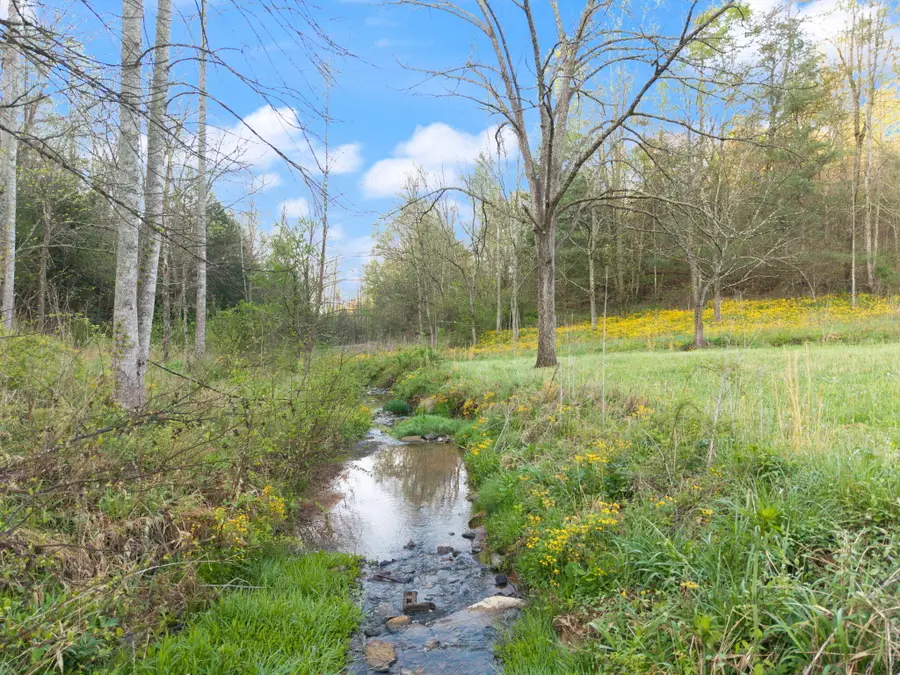 165 Pomeroyton-wellington Road, Wellington, KY 40387 - #2