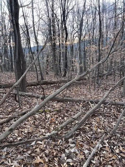 3.31 King Mountain Road #3.31, Williamsburg, KY 40769 - #3