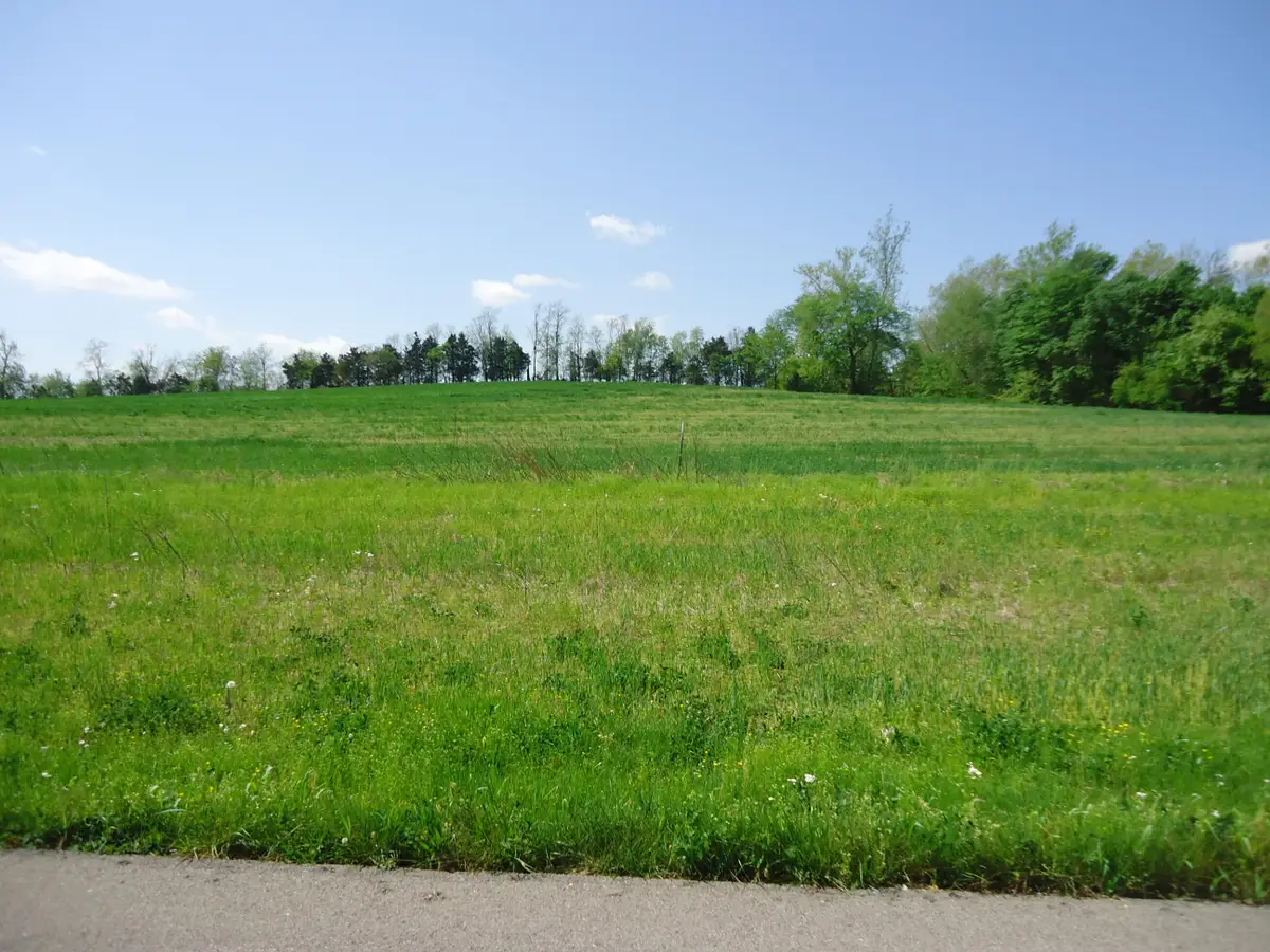 17C William Whitley Road, Stanford, KY 40484 - #1