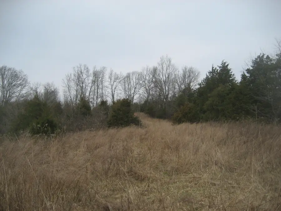 1235 Rutherford School Road, Lawrenceburg, KY 40342 - #2