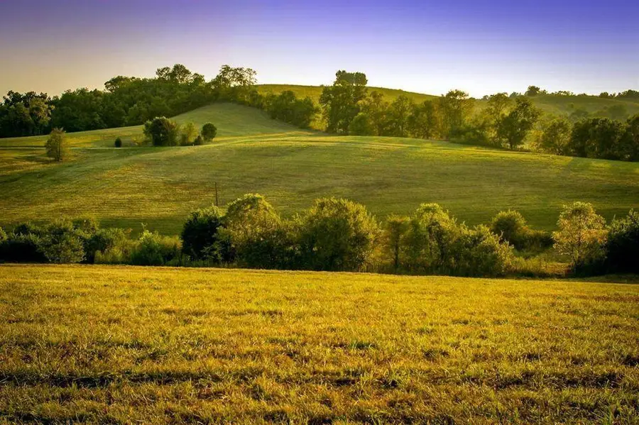 00 Deer Chase Road #Tract 16, Stanford, KY 40484 - #2