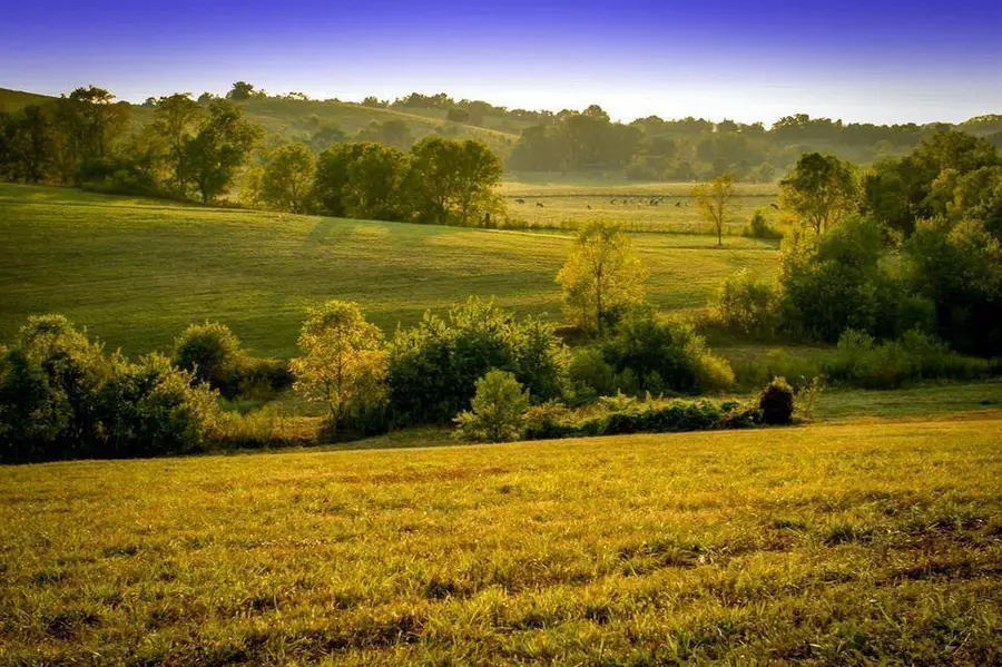 00 Deer Chase Road #Tract 16, Stanford, KY 40484 - #3