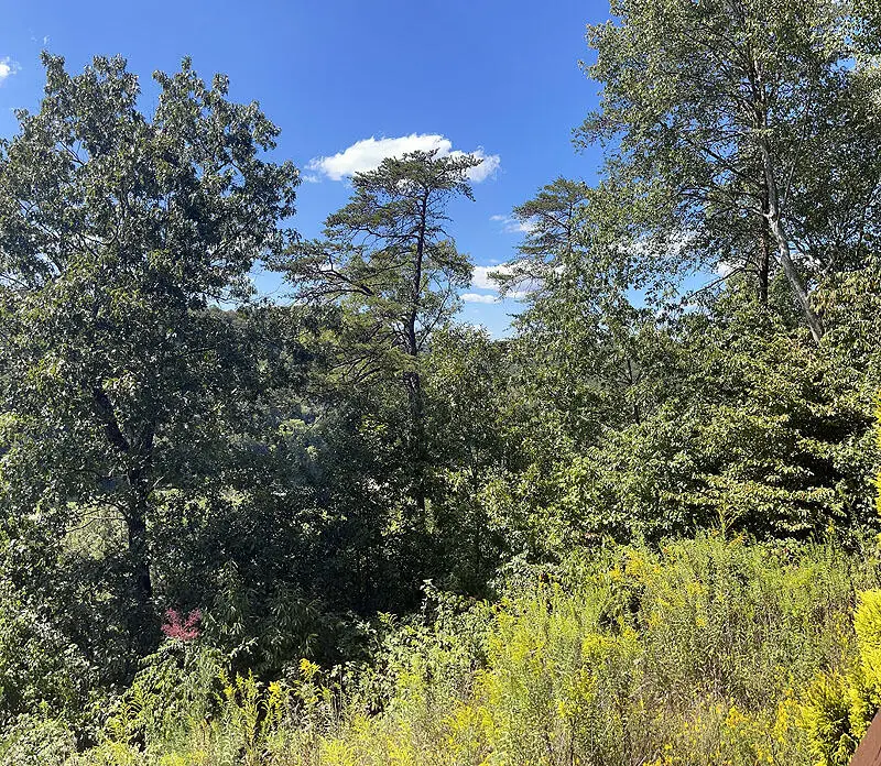 Lot 148 Stillwater, Russell Springs, KY 42642 - #3