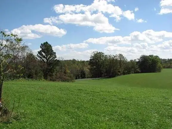 1 Rock Branch Road, Parkers Lake, KY 42634 - #2