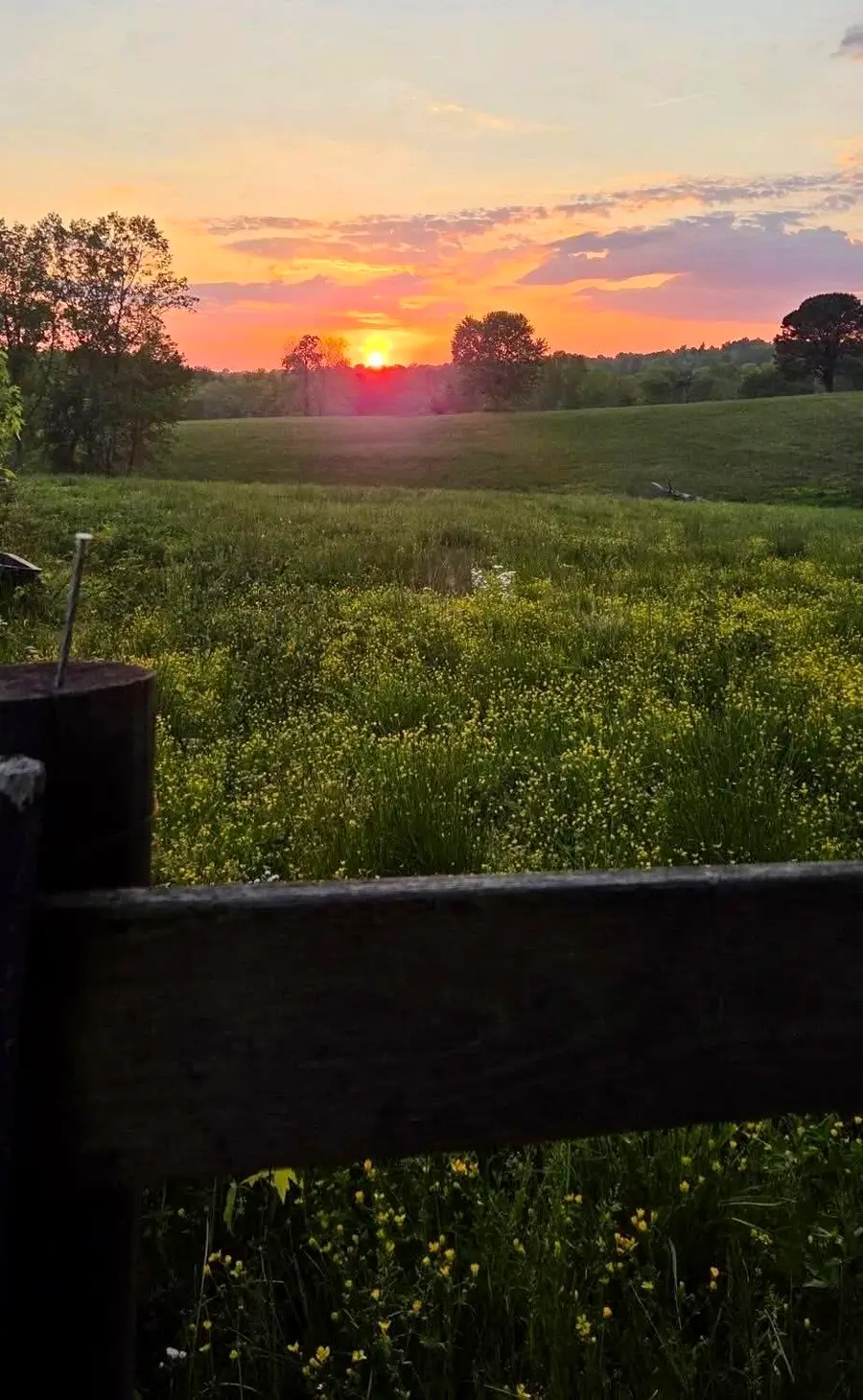 2800 W Ky-204, Williamsburg, KY 40769 - #2