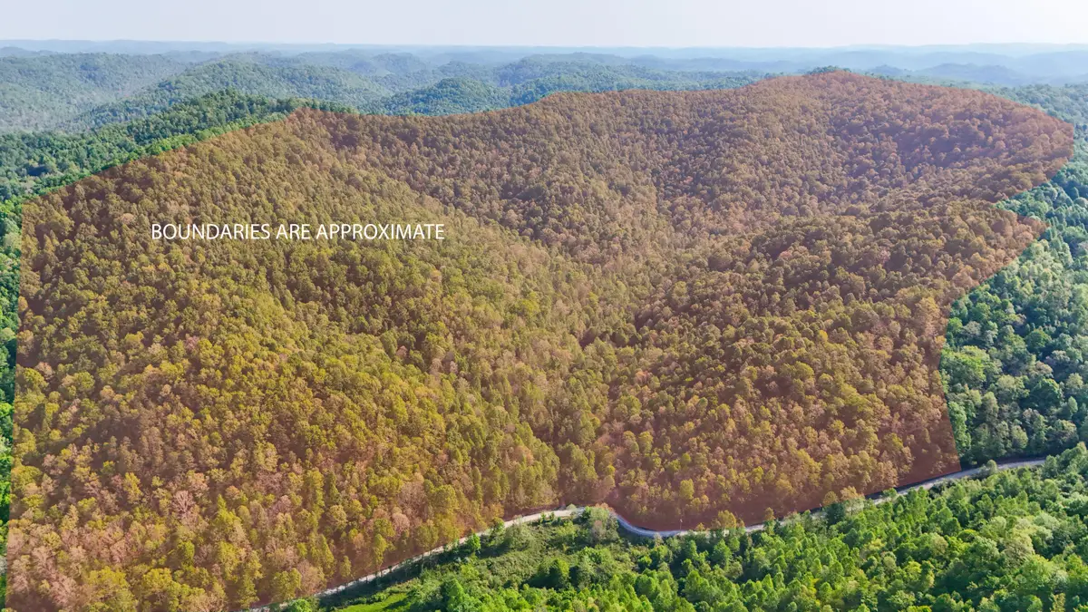 0 Hawn Branch Road, Hinkle, KY 40953 - #1