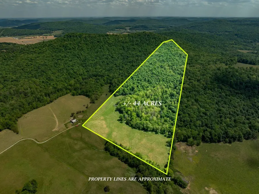 02 Simpson Hollow Road #01, Monticello, KY 42633 - #2