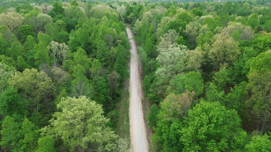 694A  Tunnel Ridge Road, Argillite, KY 41121 - #2