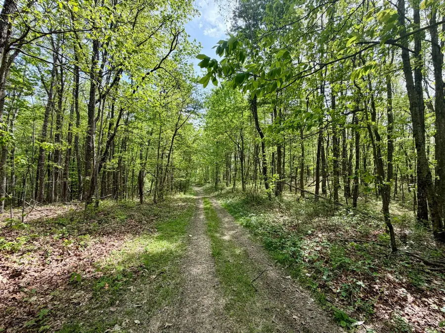 566A Tunnel Ridge Road, Argillite, KY 41121 - #2