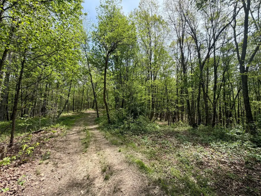 566A Tunnel Ridge Road, Argillite, KY 41121 - #3