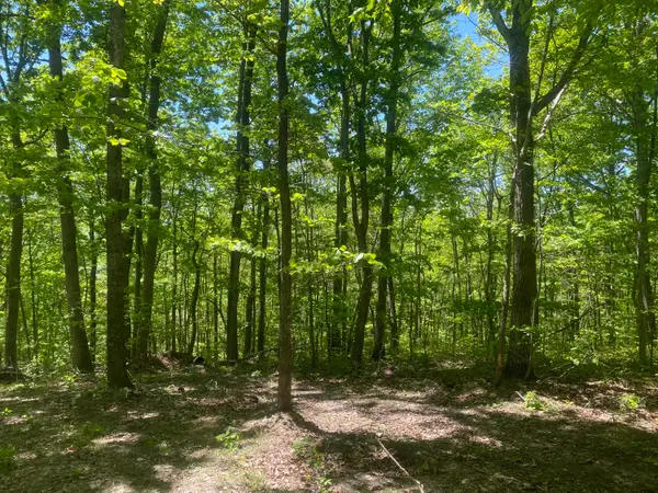 532 Rogers Lane, McKee, KY 40447