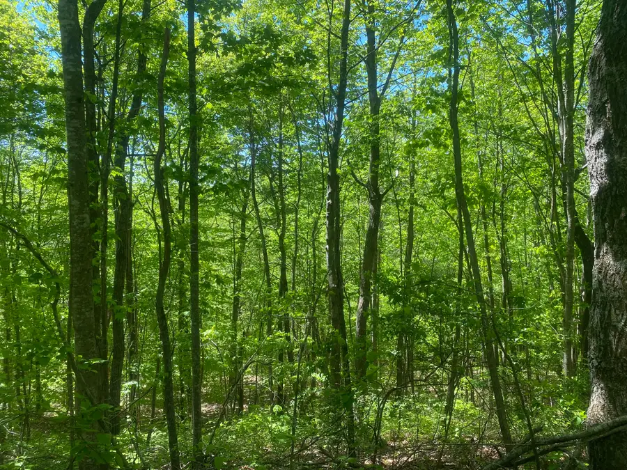 532 Rogers Lane, McKee, KY 40447 - #3