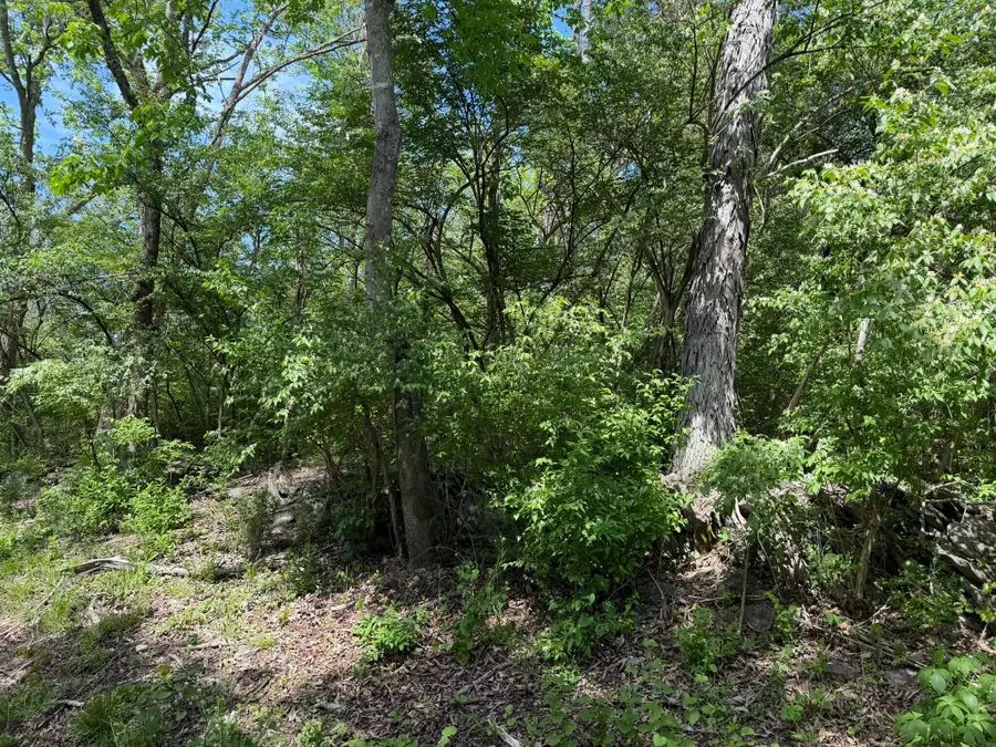 Lot #1 Marble Creek Lane, Nicholasville, KY 40356 - #3