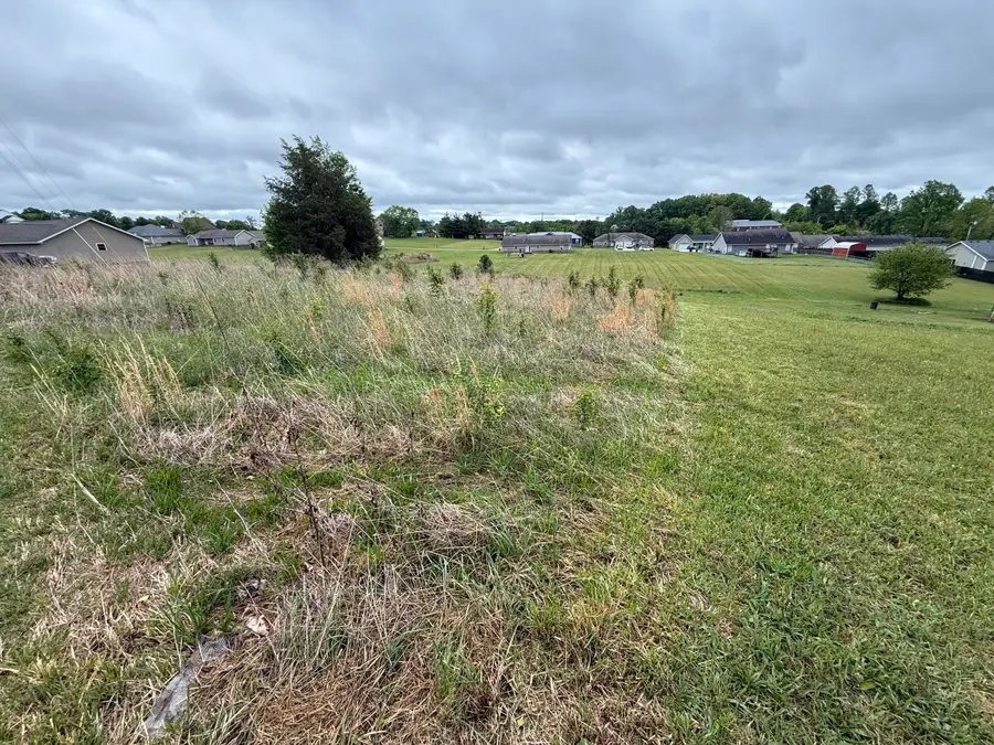 Lot #21. (Box 373) Hwy 1676, Science Hill, KY 42553 - #2