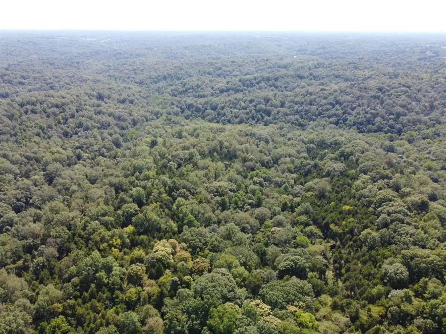 91 Flags Fork Road, Frankfort, KY 40601 - #2