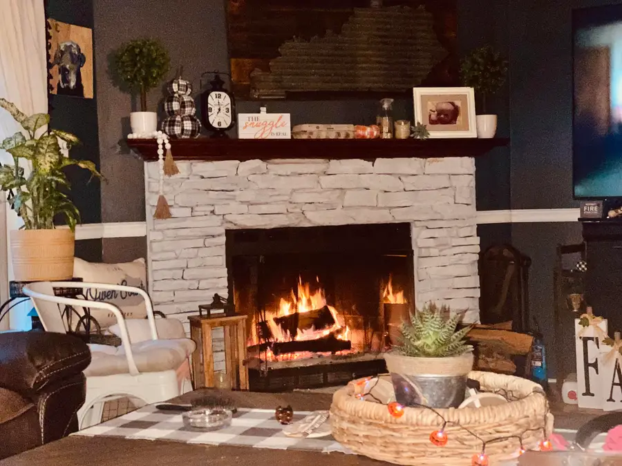 2755 Davis Lake Road, Owenton, KY 40359 - #3