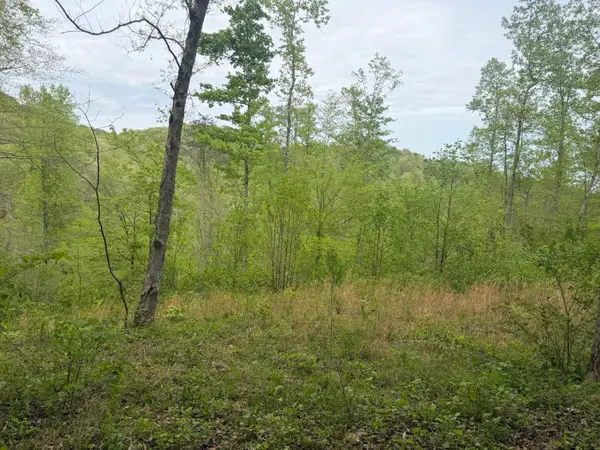 999 Big Cave Road, Orlando, KY 40460