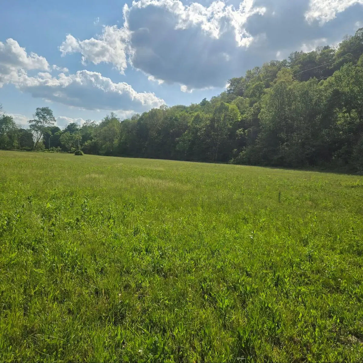 0 S Fishing Creek Road, Waynesburg, KY 40489 - #1