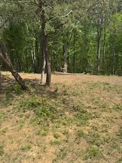 10608 Hwy 196, Nancy, KY 42544 - #2