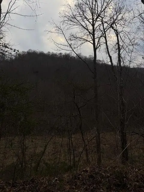 9999 Paint Gap Road, Flat Lick, KY 40935