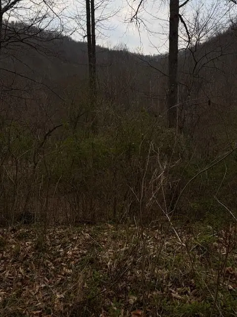 9999 Paint Gap Road, Flat Lick, KY 40935 - #2
