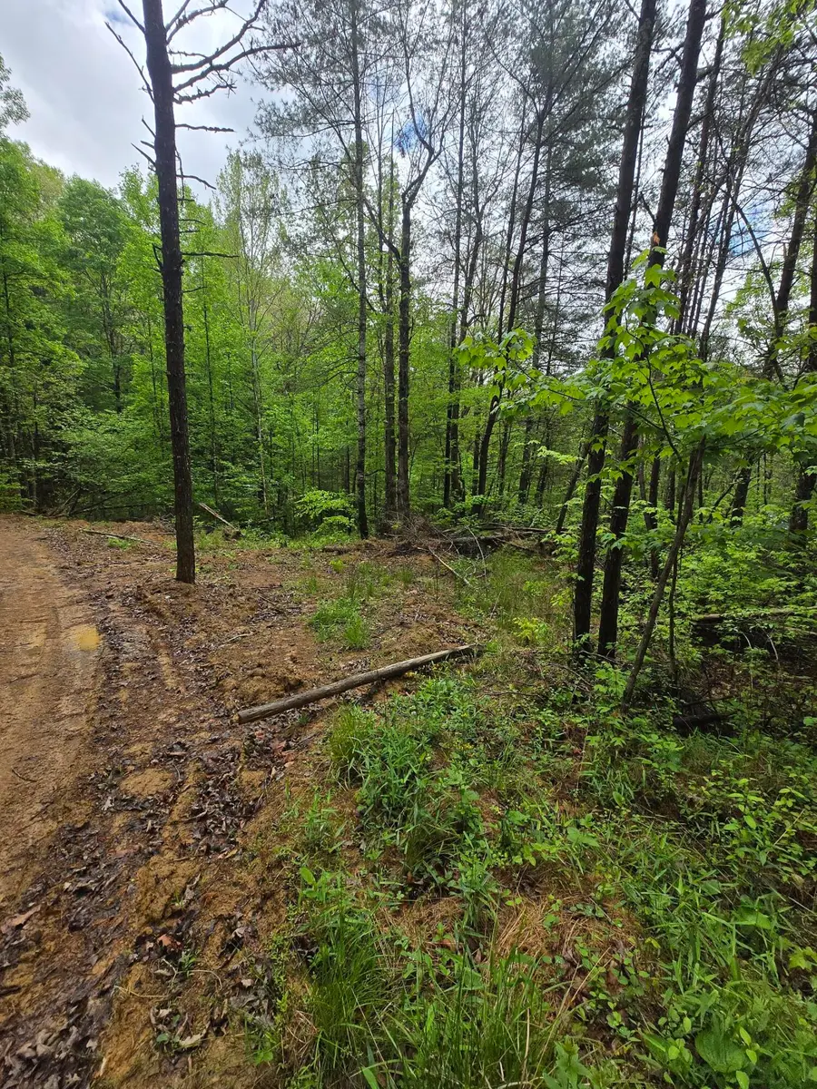 Lot 52  Soul Canyon Hideaways Development, Zoe, KY 41397 - #2
