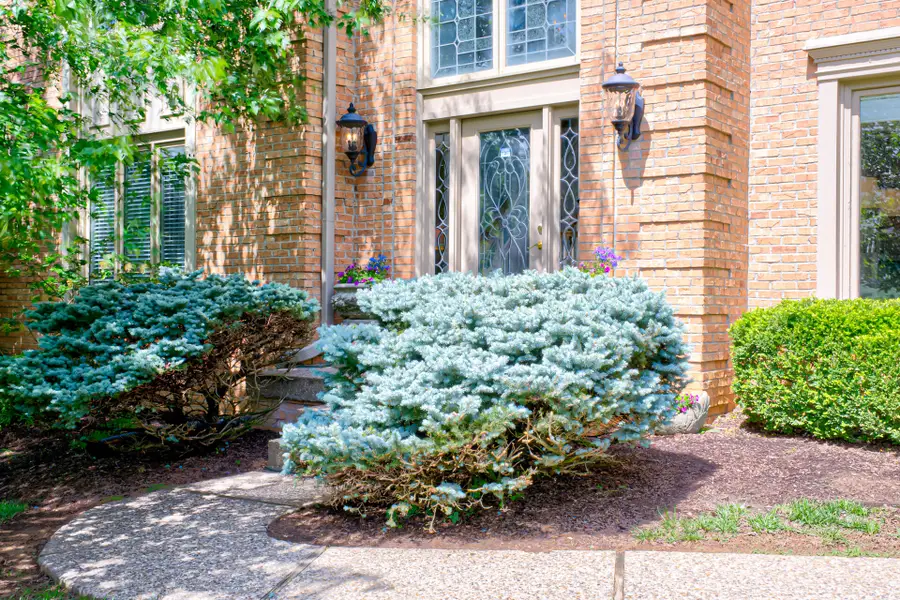 14307 Oak Bluff Court, Louisville, KY 40245 - #3