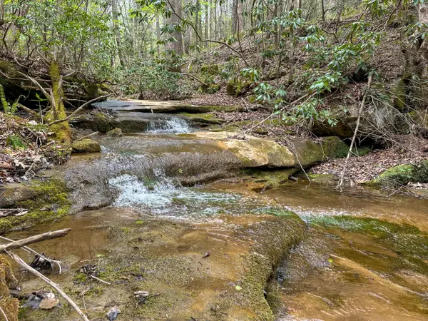 0 Dryfork Road, Helton, KY 40840