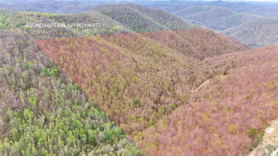 0 Dryfork Road, Helton, KY 40840 - #3