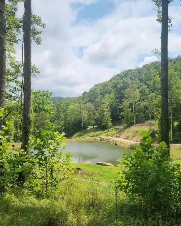 170 Birch Hollow Road, Stanton, KY 40380