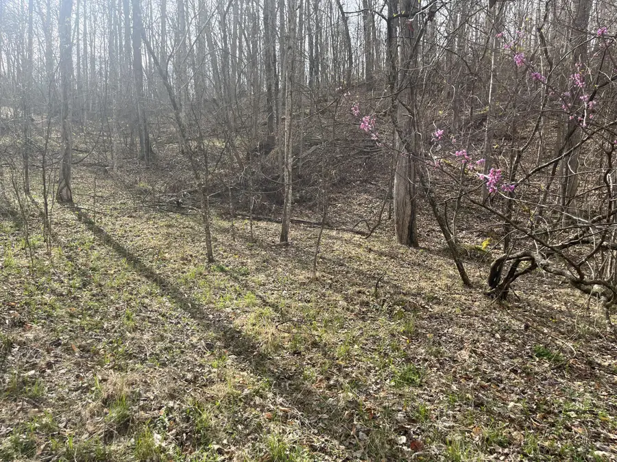 Lot Mountain Springs Cem Road, Ravenna, KY 40472 - #2
