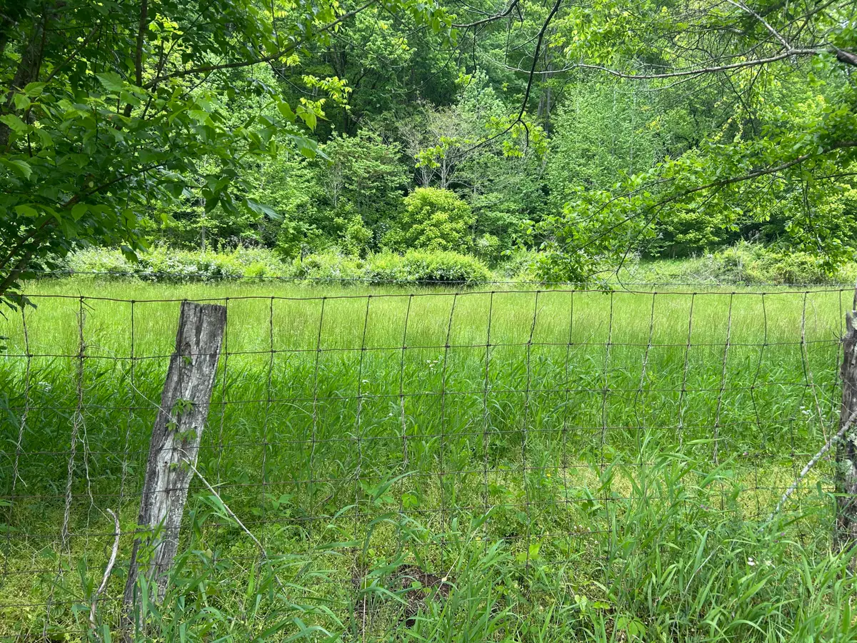 00  Jacks Creek Road, Oneida, KY 40972 - #1