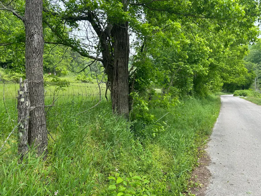 00  Jacks Creek Road, Oneida, KY 40972 - #2