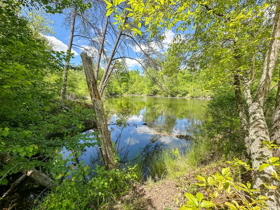1921 State Highway 1804, Williamsburg, KY 40769 - #2