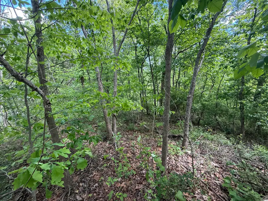 9999 Chestnut Flat Road, McKee, KY 40447 - #2