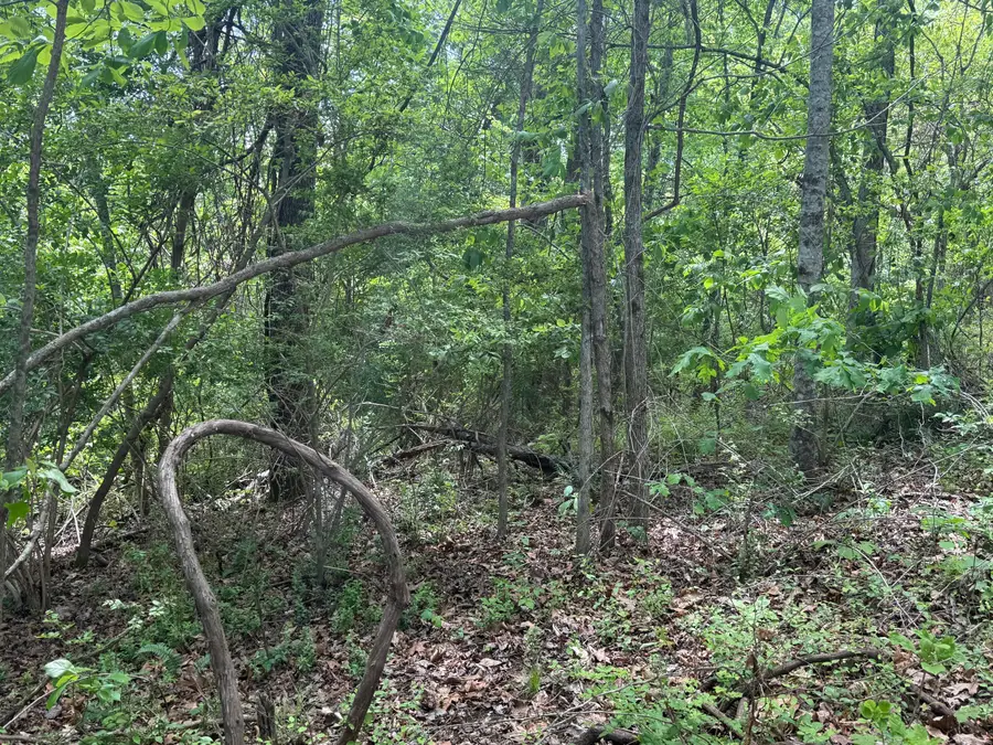 9999 Chestnut Flat Road, McKee, KY 40447 - #3