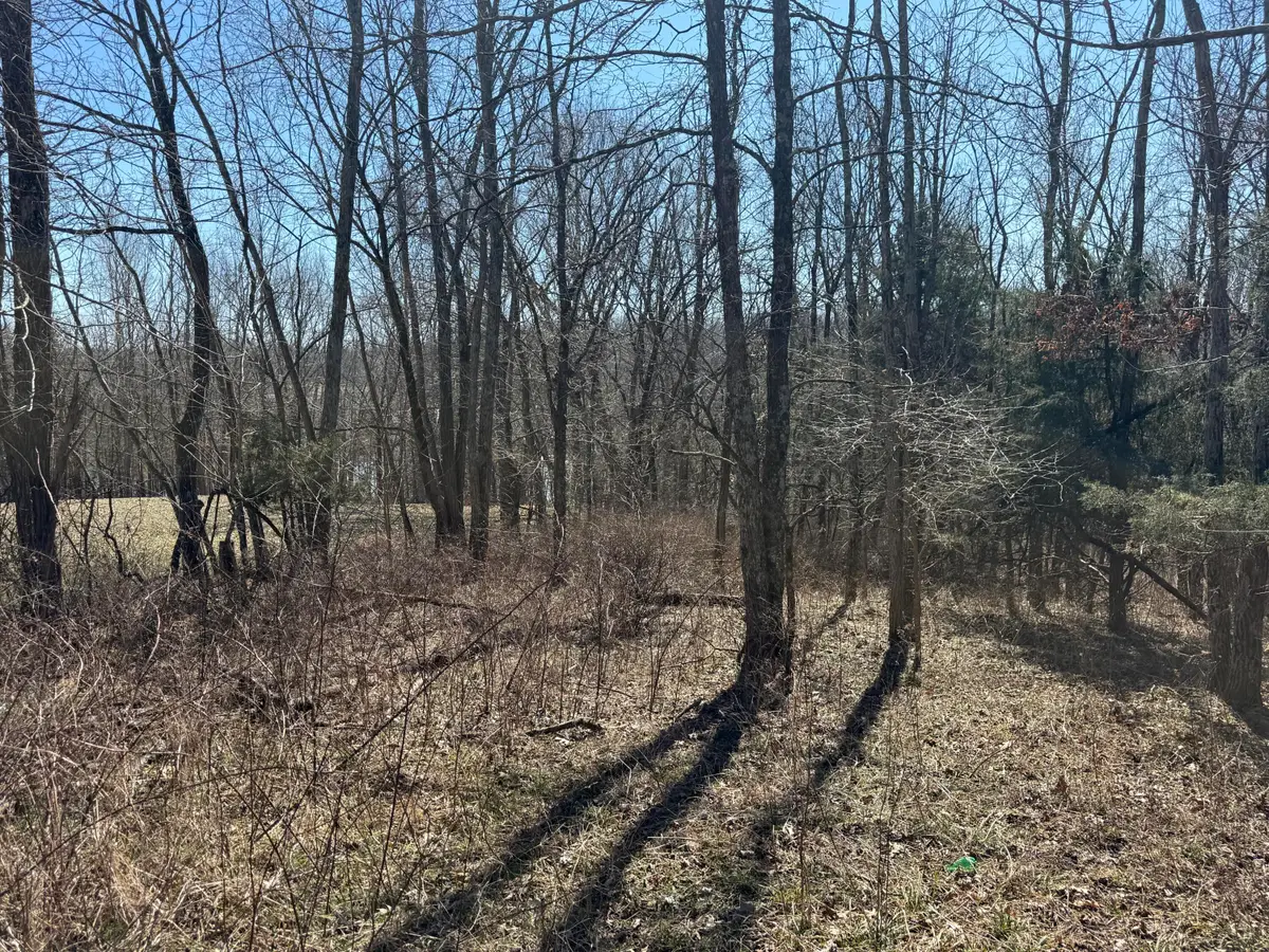 1 Landings Court, Willisburg, KY 40078 - #1