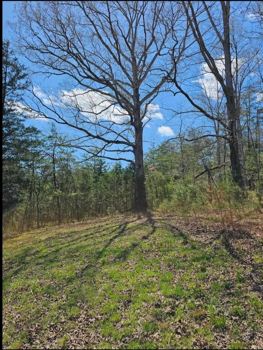 9999 S. HWY 127 Dunnville S Hwy 127 Loop, Dunnville, KY 42528 - #3