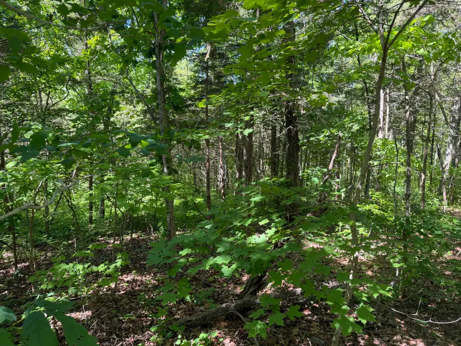 0000 Bald Hill & Richie Road, Carlisle, KY 40311 - #2