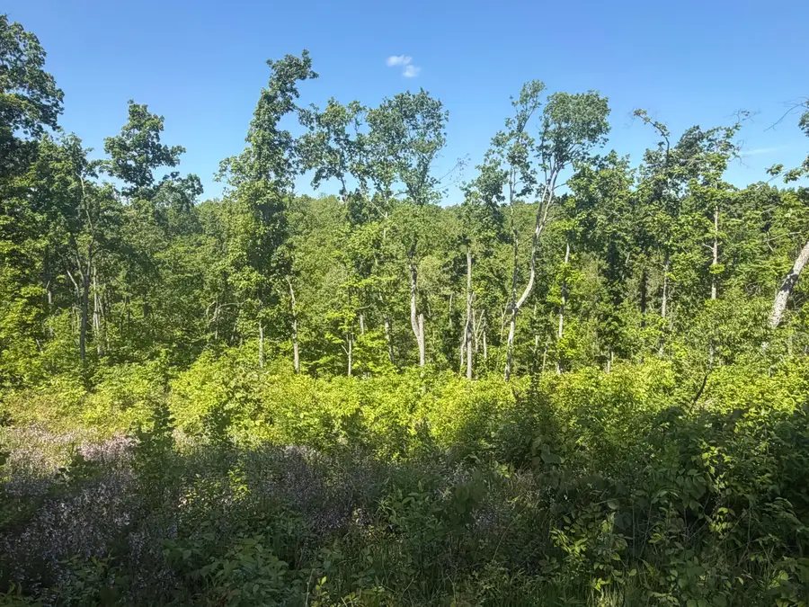 0000 Bald Hill & Richie Road, Carlisle, KY 40311 - #3